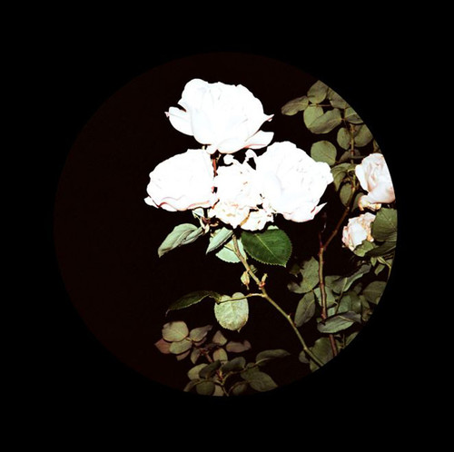Bpbl01.2 /  Various