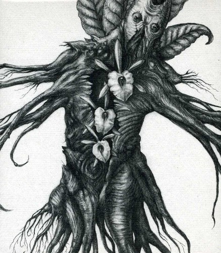 Iv: Mandragora