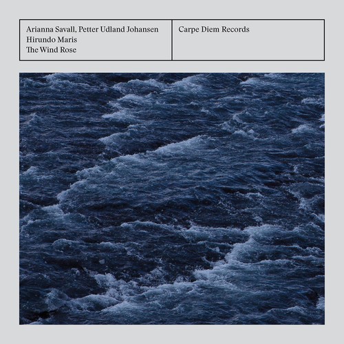 Wind Rose