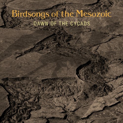 Dawn of the Cycads