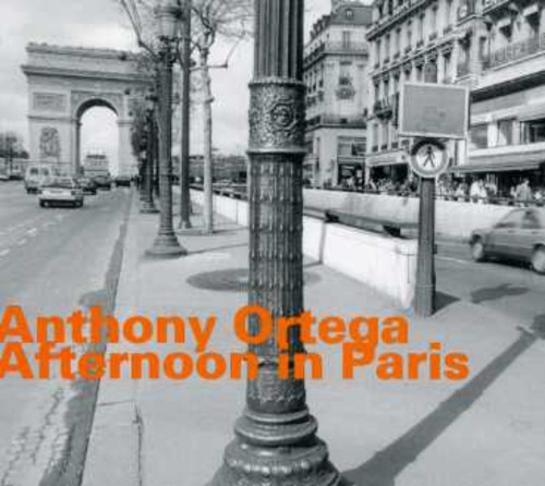 Afternoon in Paris