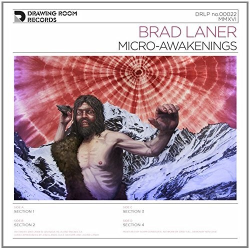 Micro-awakenings