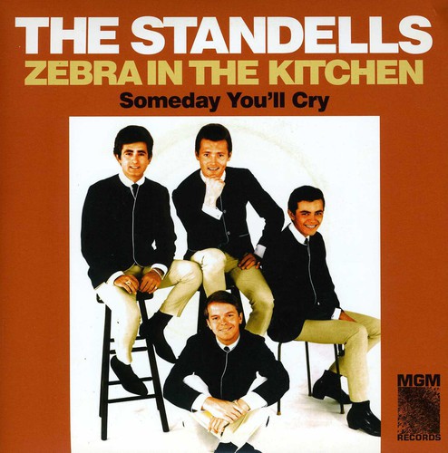 Zebra In The Kitchen/ Someday You'll Cry