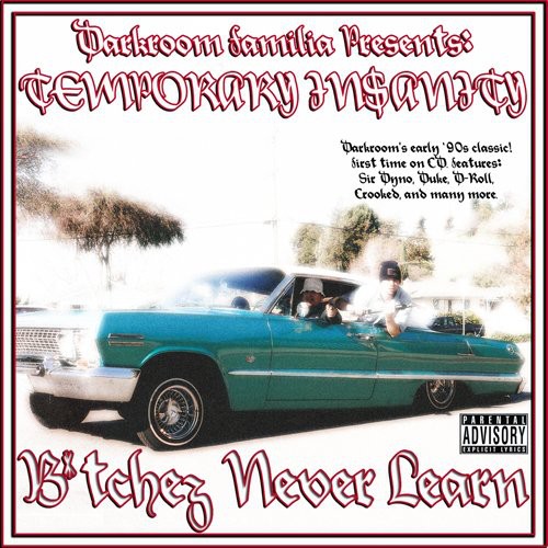 Temporary Insanity: Bitchez Never Learn [Explicit Content]
