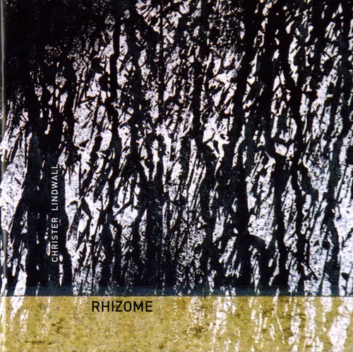 Rhizome