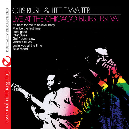 Live at Chicago Blues Festival
