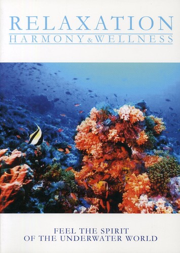 Feel the Spirit of the Underwater