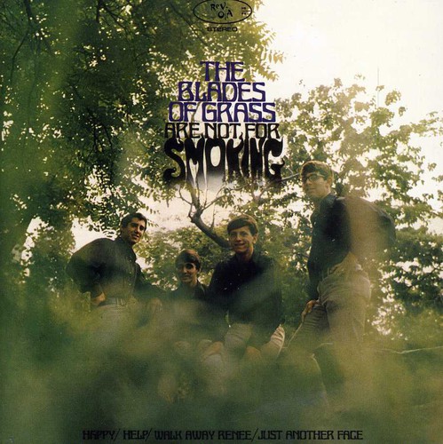 Blades of Grass Are Not for Smoking [Import]