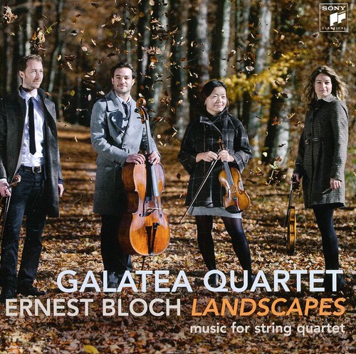 Bloch: Landscapes
