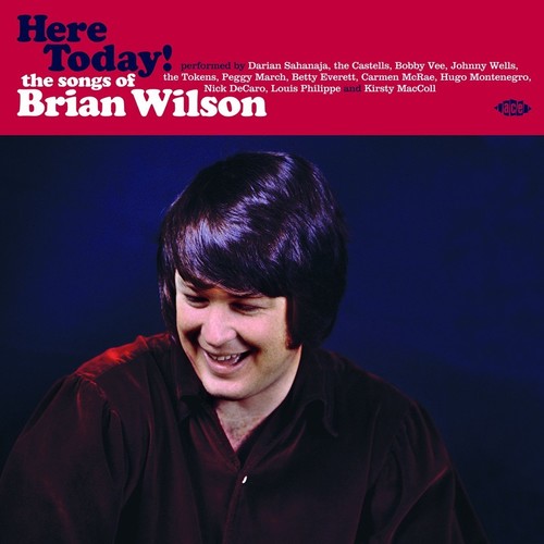 Here Today! Songs Of Brian Wilson /  Various [Import]