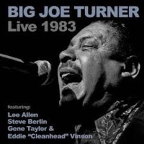 Big Joe Turner Live 1983 [Import]