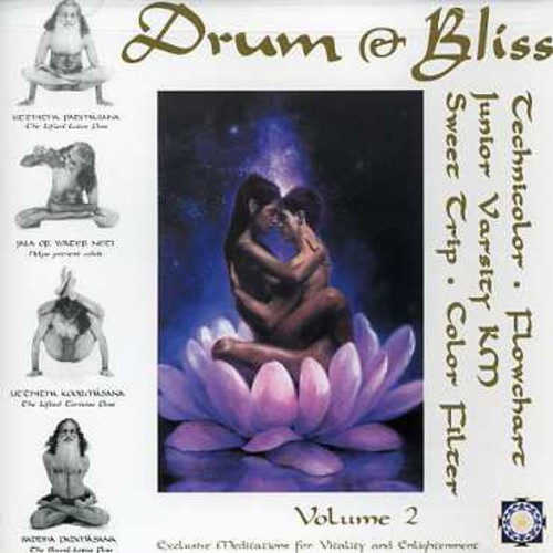 Drum & Bliss 2 /  Various