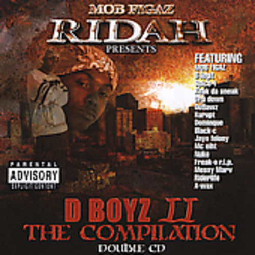 D Boyz II the Compilation [Explicit Content]