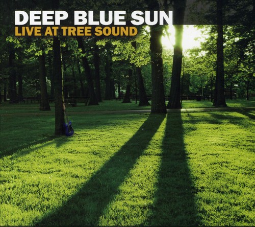 Live at Tree Sound