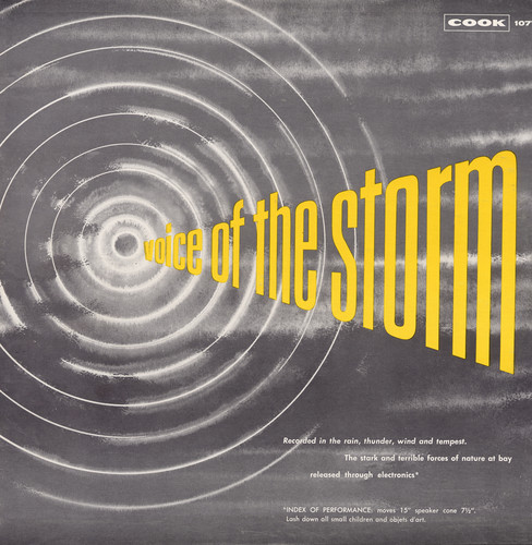Voice of the Storm /  Various