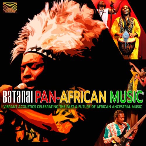 Wedzerai Zvirevo - Pan-African Music: Vibrant Acoustics Celebrating