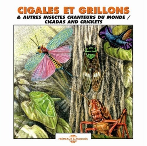 Cicadas and Crickets