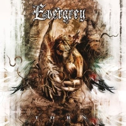Torn [Import]