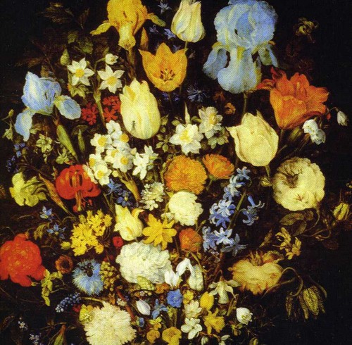 Navigated Like the Swan