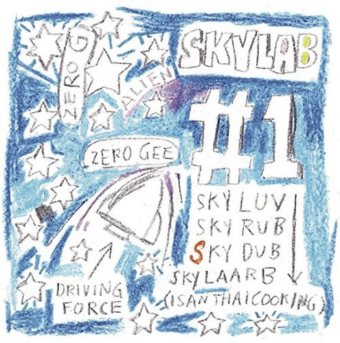 Skylab #1