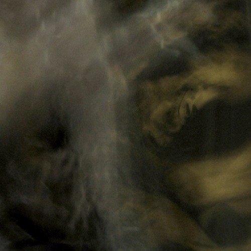Pixyblink & Rhea Tucanae - Fungi from