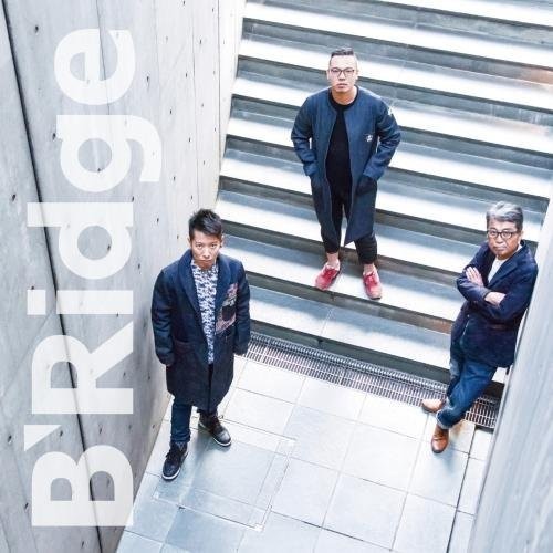 B'Ridge [Import]