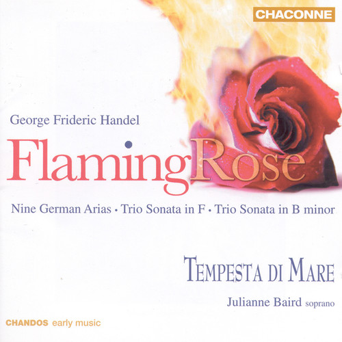 Flaming Rose