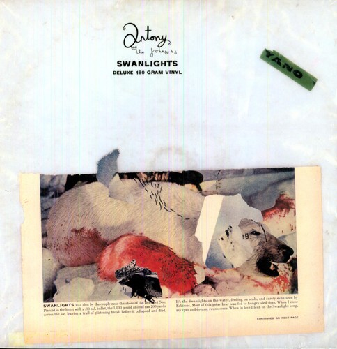 Album Art