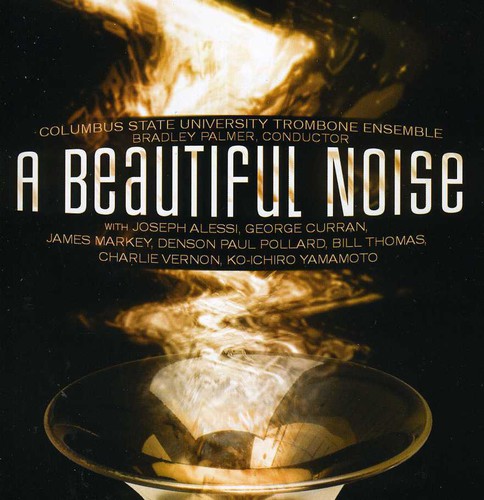 Beautiful Noise