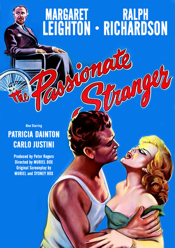 The Passionate Stranger (aka A Novel Affair)