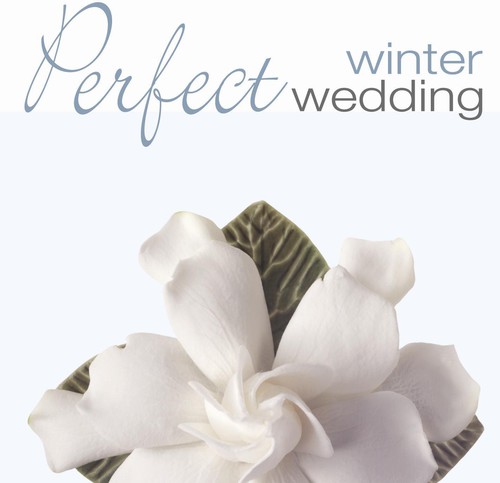 Perfect Wedding: Winter /  Various
