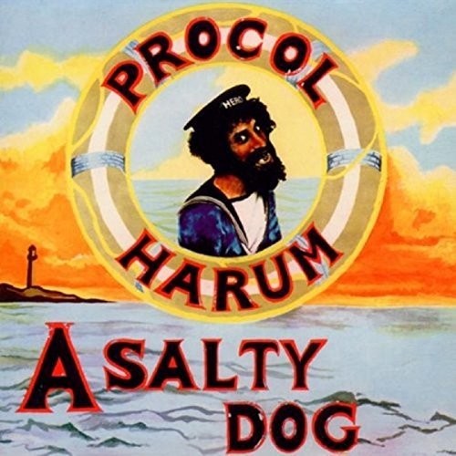 Salty Dog