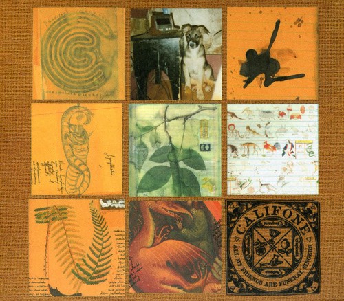 All My Friends Are Funeral Singers