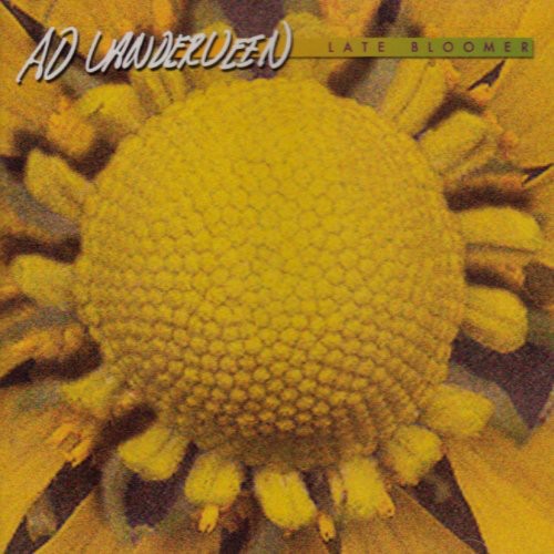 Aguardando imagem do produto