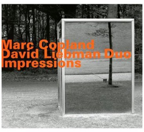 Impressions