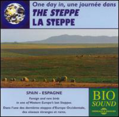 The Steppe