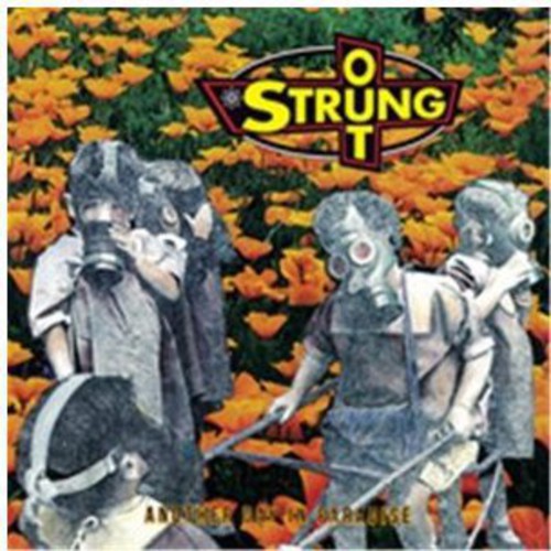 Another Day In Paradise