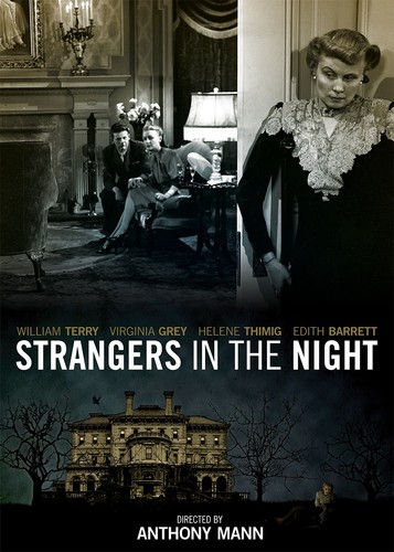 Strangers in the Night