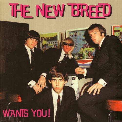 Wants You!