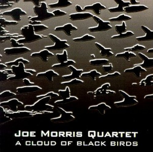 A Cloud Of Black Birds