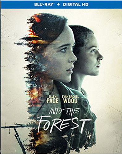 Into the Forest