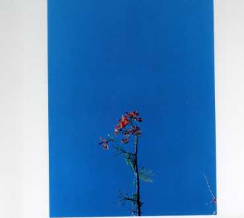 And The Ys Street Band EP