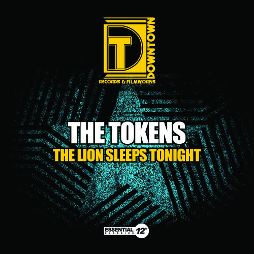 Lion Sleeps Tonight