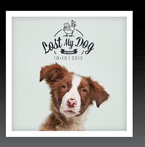 Lost My Dog 10x10 - 2012