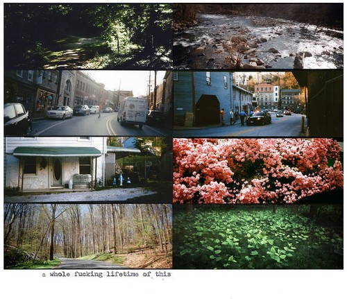 Whole Fucking Lifetime Of Th