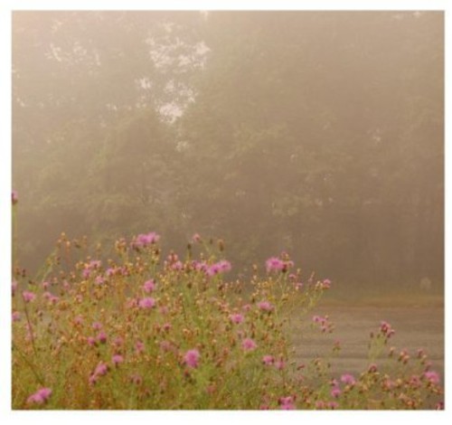 The Prettiest Shade of Blue