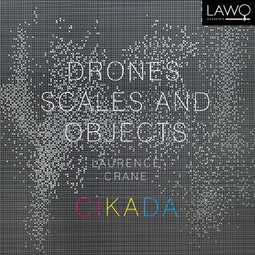 Drones Scales & Objects