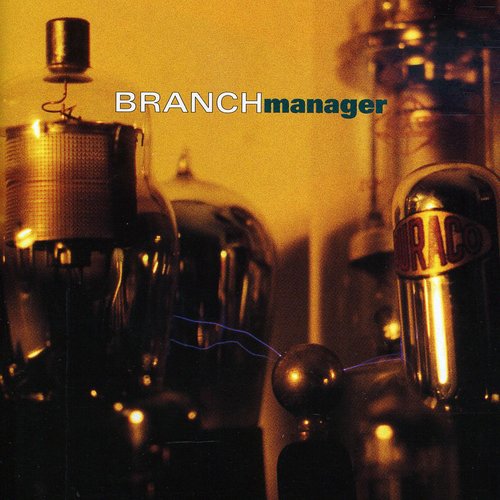 Branch Manager