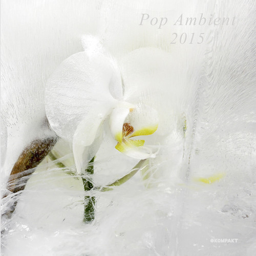 Pop Ambient 2015 /  Various