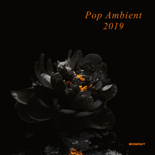 Pop Ambient 2019 (Various Artists)